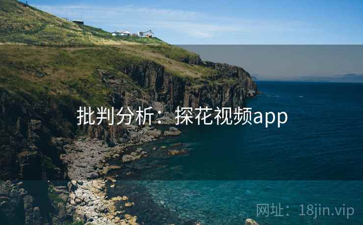 批判分析：探花视频app